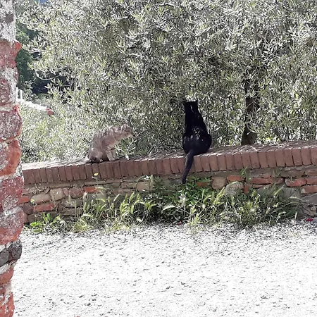 Antica Casa Dei Rassicurati Bed & Breakfast 4*